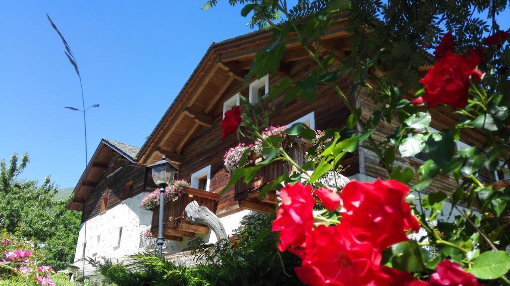 Agriturismo Raethia 이솔라치아 외부 사진